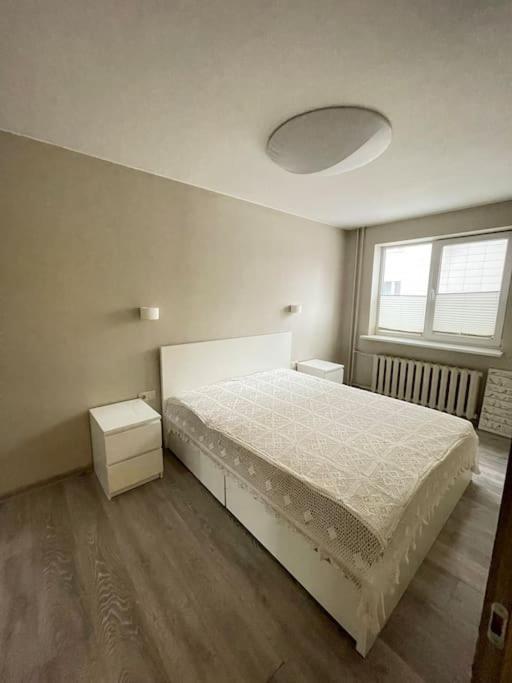Апартаменти Cozy Flat Close To City Center Каунас Екстер'єр фото