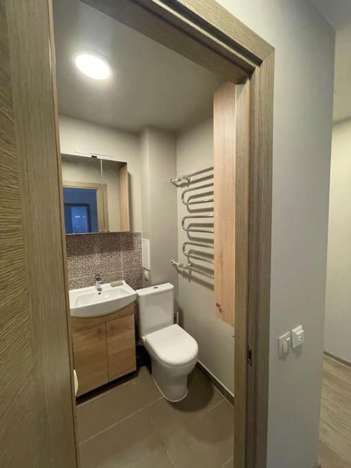 Апартаменти Cozy Flat Close To City Center Каунас Екстер'єр фото
